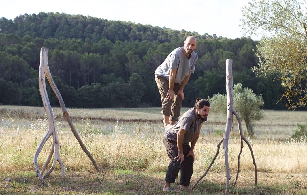 Lo que los árboles no cuentan