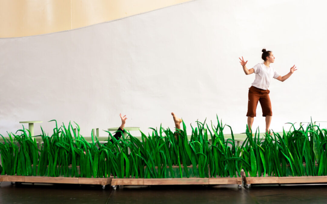 Arròs – ANNA MATEU & MIGUEL BARRETO