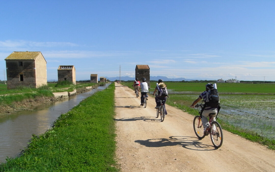 BiciDanza por la Albufera