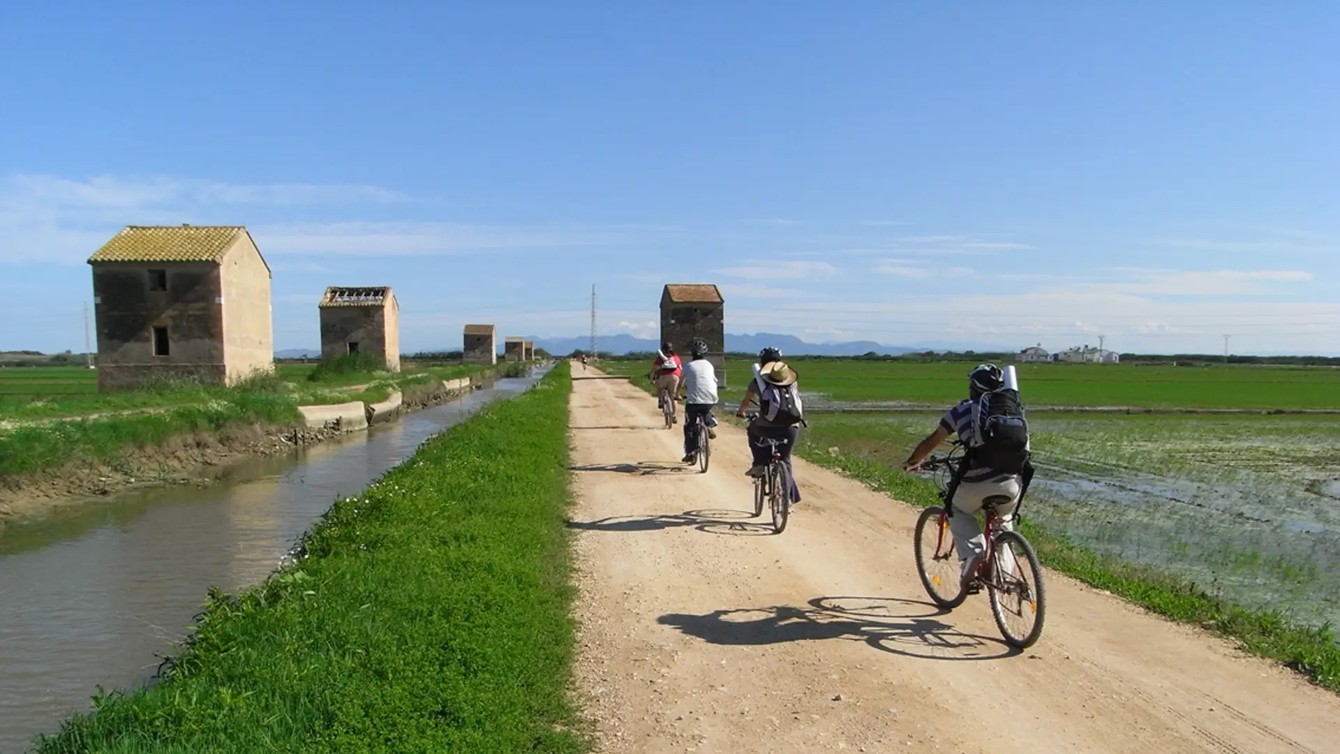 Grupo de gente en bici por l´Albufera